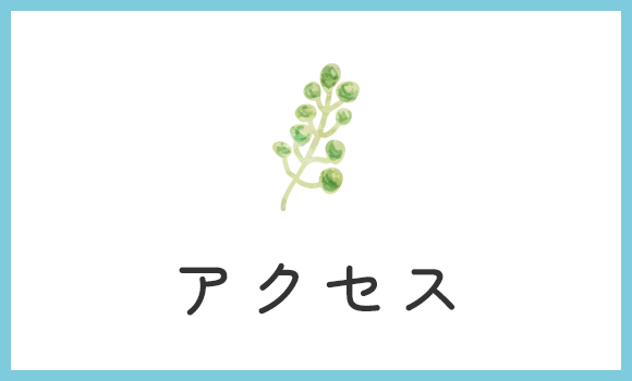 アクセス